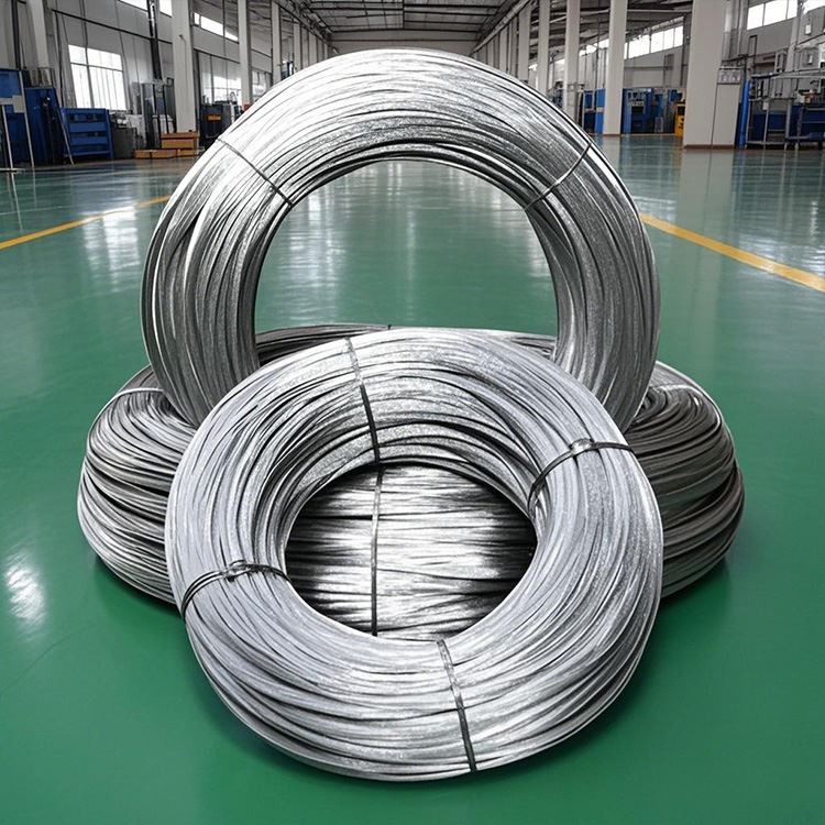 Flat Spring Steel Wire